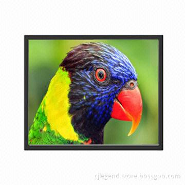 19-inch TFT LCD Display with Metal Case, Supports VGA and DVI Input, 1,280 x 1,024 Pixels